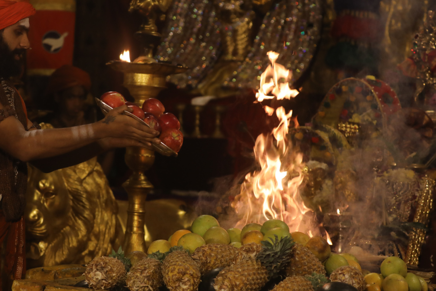 Sudarshana Homa — Day 12 (31 Jul)
