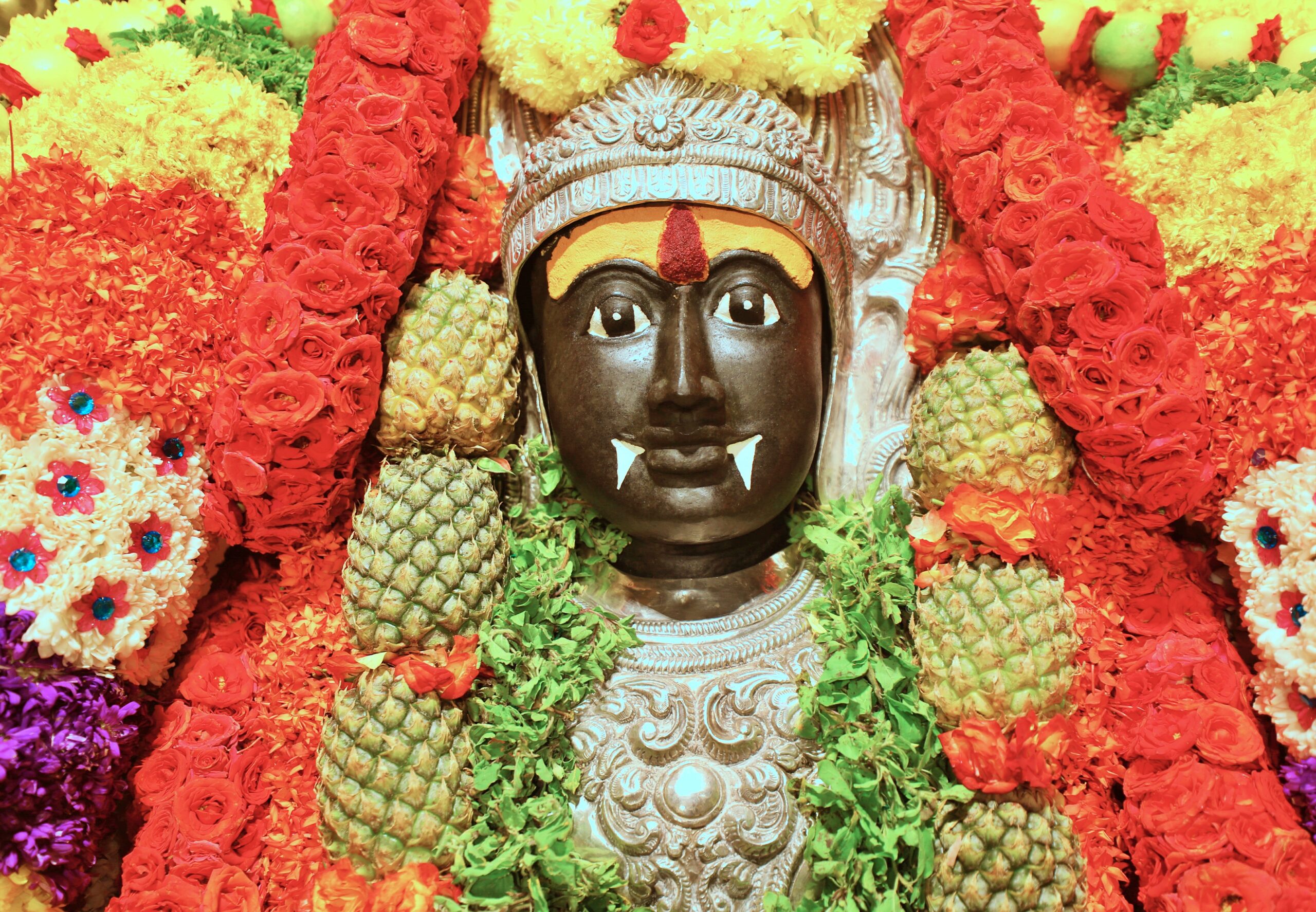 Kalabhairava Homa — Day 3 (22 Jul)
